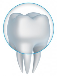 Close up image of a dental crown available near Highlands Ranch.